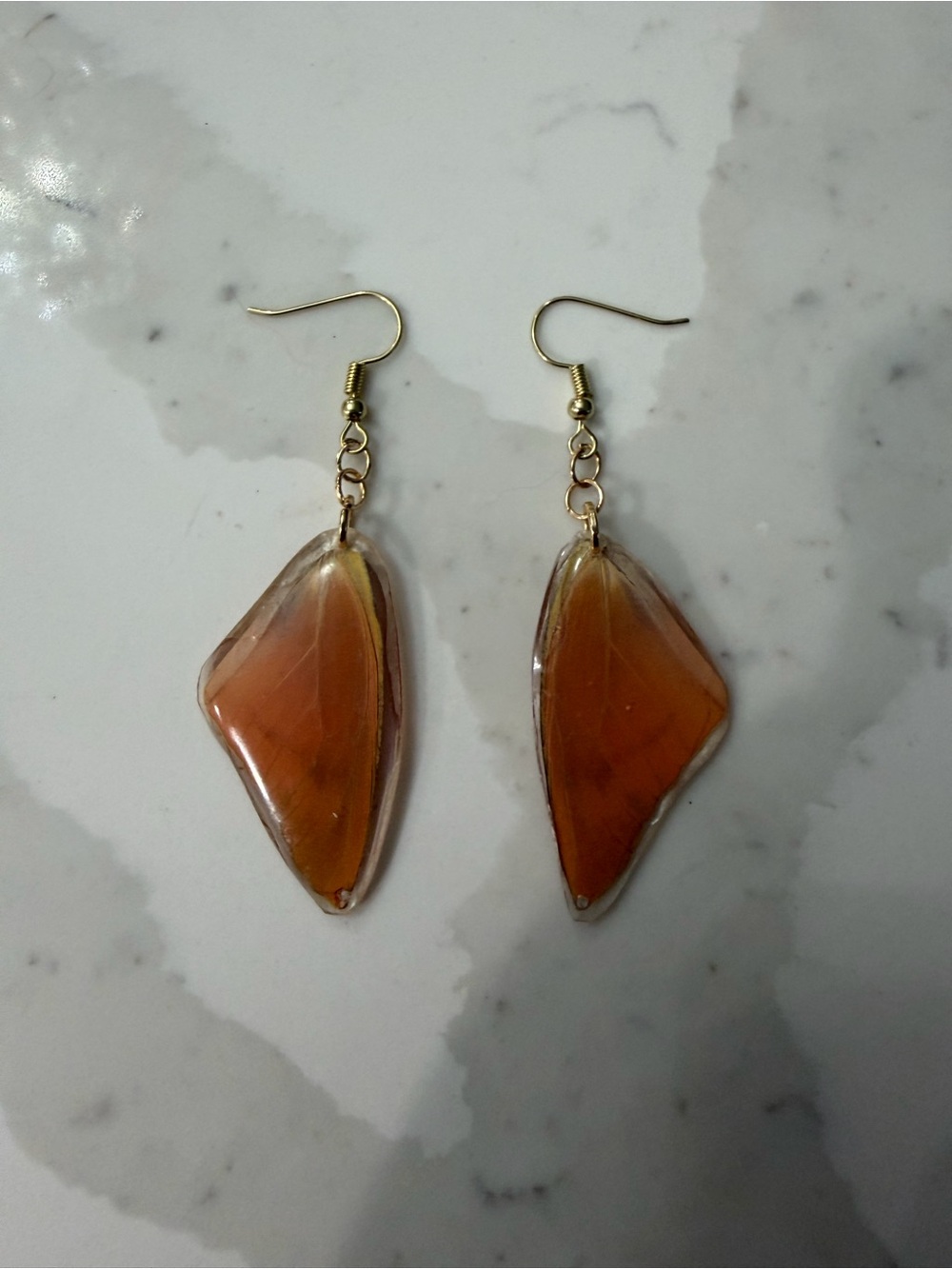 Real Eastern Orange Albatross Butterfly Earrings.